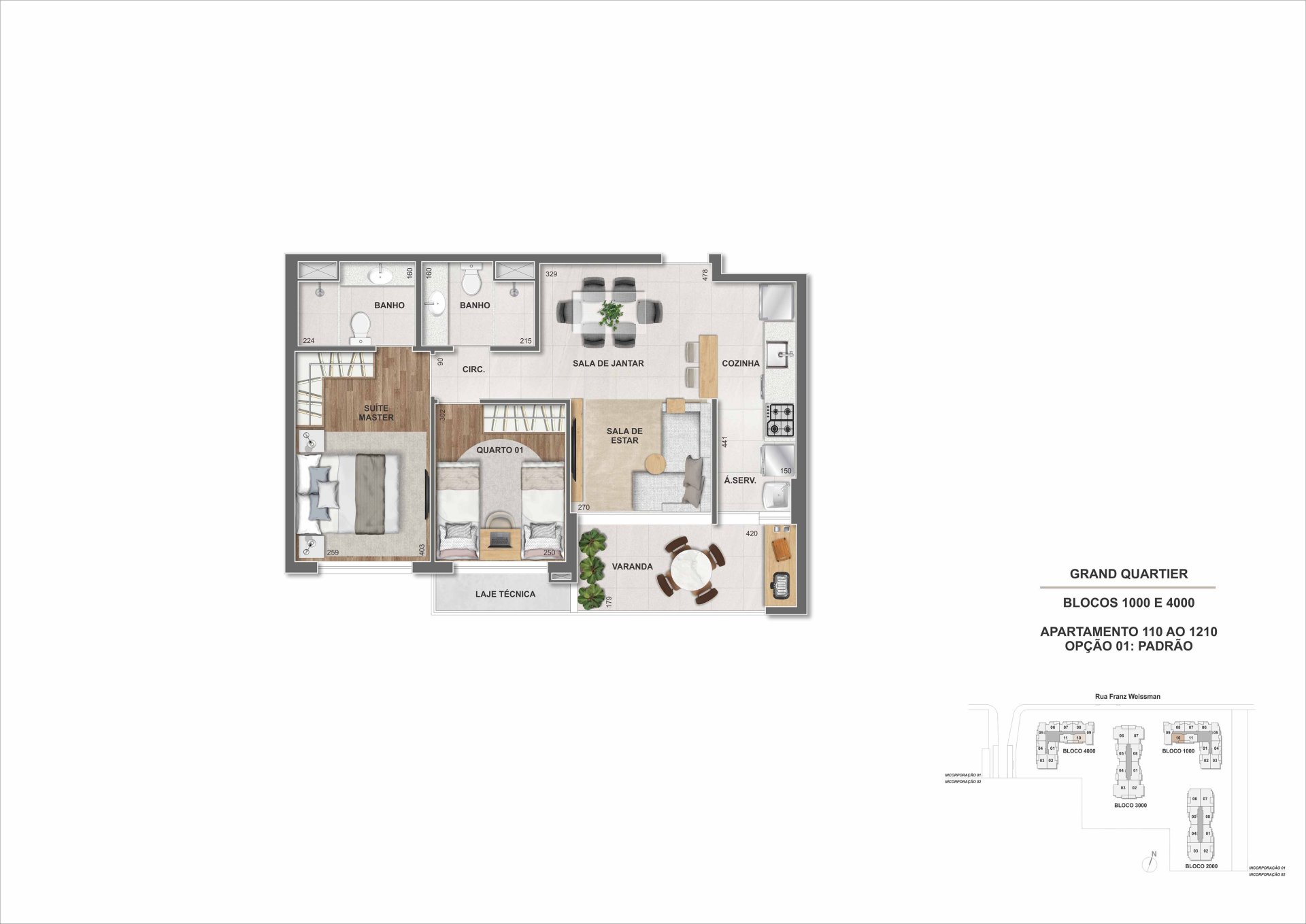 Planta 41