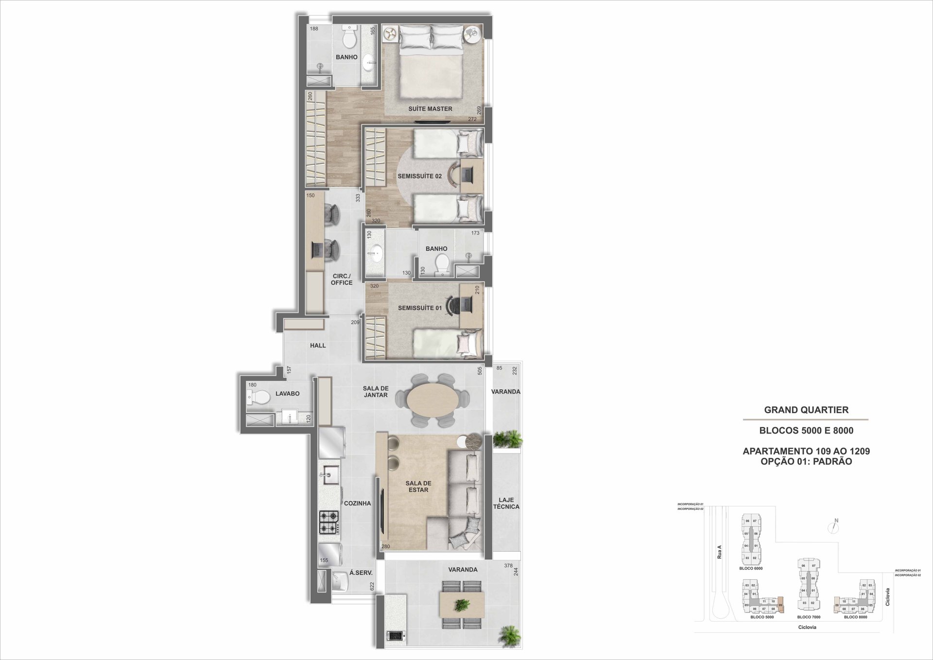 Planta 17